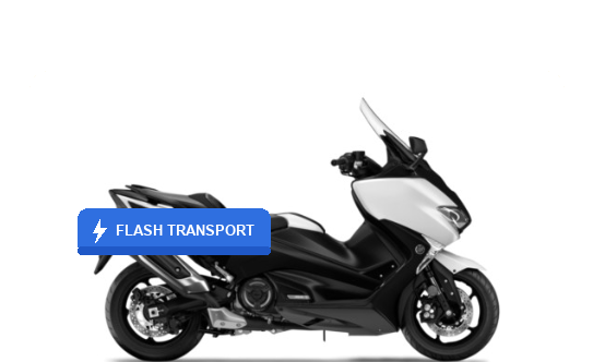 Coursier 2 roues Flash Transport